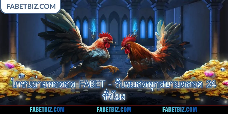 ไก่ชนถ่ายทอดสด Fabet - รับชมสดทุกสนามตลอด 24 ชั่วโมง