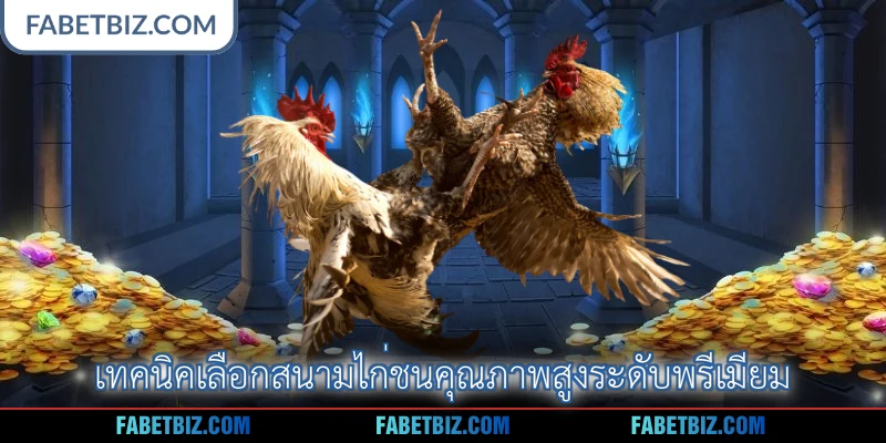 เทคนิคเลือกสนามไก่ชนคุณภาพสูงระดับพรีเมียม